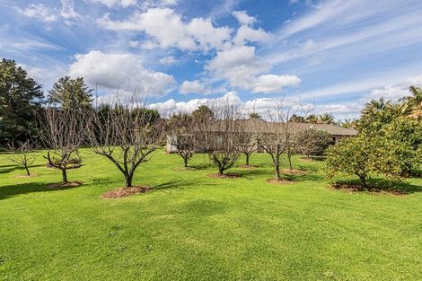 Photo of property in 237 Pipiwai Road, Ngararatunua, Whangarei, 0176