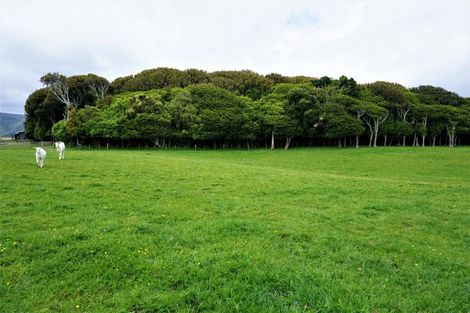 Photo of property in 207 Takapu Road, Manakau, Levin, 5573