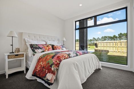 Photo of property in 111 Mclarin Road, Glenbrook, 2681