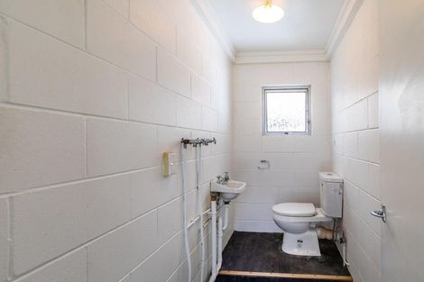 Photo of property in 8 Allen Road, Grey Lynn, Auckland, 1021