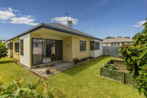 Photo of property in 19a Hayes Avenue, Gate Pa, Tauranga, 3112