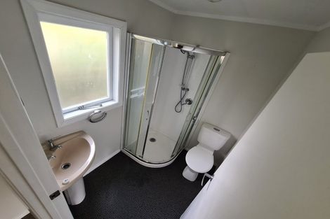 Photo of property in 21 Kitchener Street, Claudelands, Hamilton, 3214