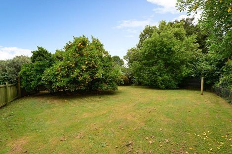 Photo of property in 19 Patricia Avenue, Hamilton East, Hamilton, 3216