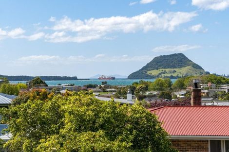 Photo of property in 19 Milton Road, Otumoetai, Tauranga, 3110