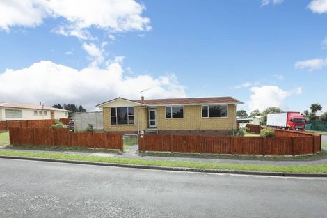 Photo of property in 10 Purnell Place, Marton, 4710