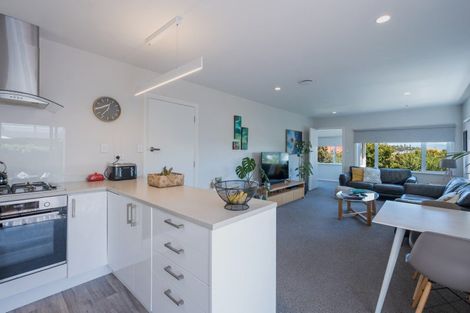 Photo of property in 117 Halifax Street East, The Wood, Nelson, 7010