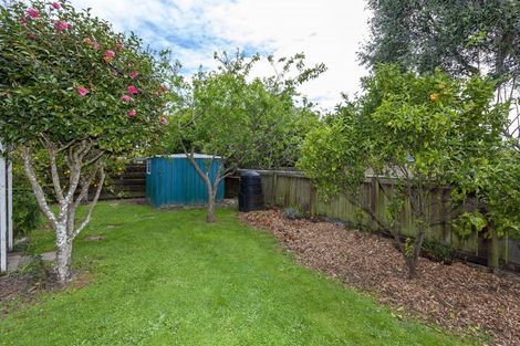 Photo of property in 57 Belvedere Avenue, Waikanae, 5036