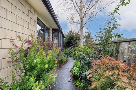 Photo of property in 62b Pohutu Street, Whakatane, 3120