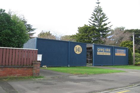 Photo of property in 141b Ruahine Street, Roslyn, Palmerston North, 4414