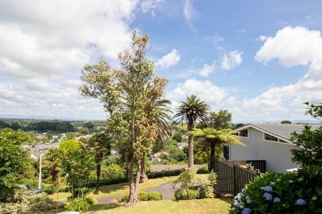 Photo of property in 49 Wood Street, Paeroa, 3600