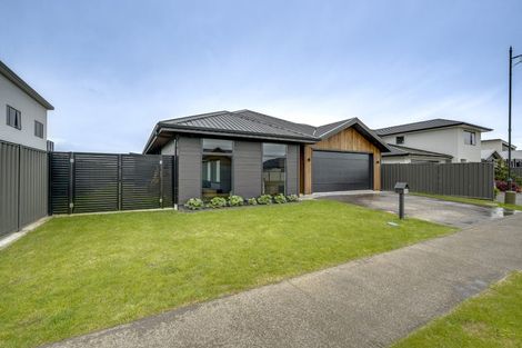 Photo of property in 58 Pelorus Avenue, Poraiti, Napier, 4112