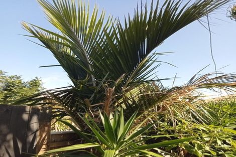 Photo of property in 40 Judea Road, Judea, Tauranga, 3110