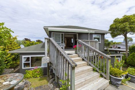 Photo of property in 149 Tamamutu Street, Taupo, 3330