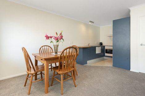 Photo of property in 8d Heath Street, Mount Maunganui, 3116