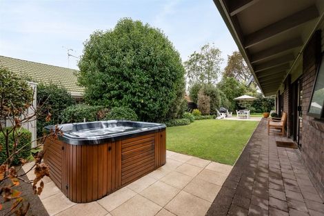 Photo of property in 46a Macfarlane Street, Hamilton East, Hamilton, 3216