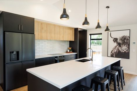 Photo of property in 151 Nannestads Line, Bunnythorpe, Palmerston North, 4775