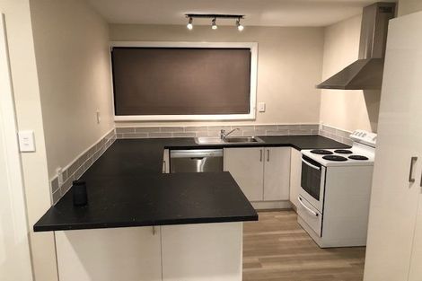 Photo of property in 45 Deepdale Street, Burnside, Christchurch, 8053