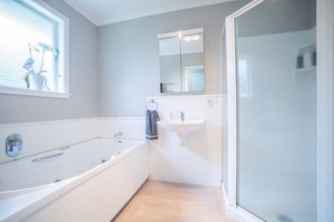 Photo of property in 579 Featherston Street, Roslyn, Palmerston North, 4414