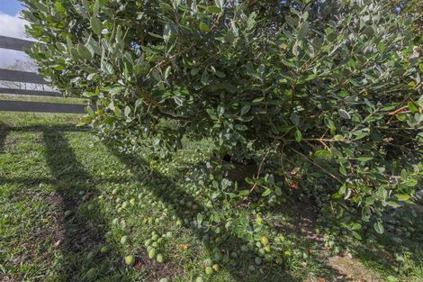 Photo of property in 520 Koheroa Road, Mercer, 2474