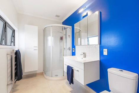 Photo of property in 17 Samuel Place, Queenwood, Hamilton, 3210