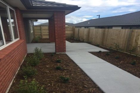 Photo of property in 43 Bert Wall Drive, Omokoroa, 3114