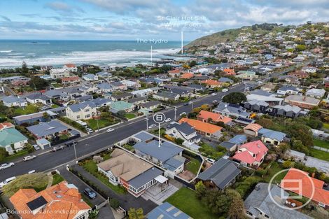 Photo of property in 67 Albert Street, Saint Clair, Dunedin, 9012