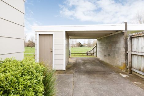 Photo of property in 19 Fergusson Street, Marton, 4710