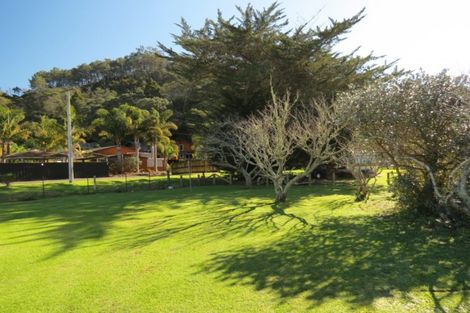 Photo of property in 348 Wharf Road, Coromandel, 3506