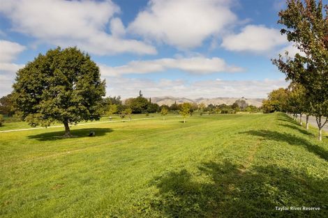 Photo of property in 5 Bank Street, Springlands, Blenheim, 7201