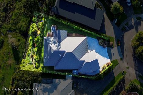Photo of property in 17 Riverside Place, Katikati, 3129