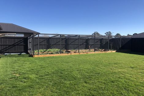 Photo of property in 16 Rhyolite Court, Rolleston, 7614