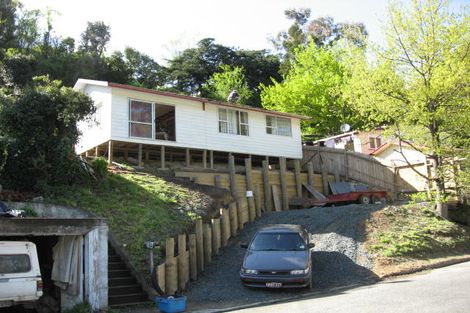 Photo of property in 51 Murphy Street, Toi Toi, Nelson, 7010