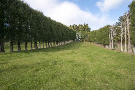 Photo of property in 294 Wharawhara Road, Tahawai, Katikati, 3178