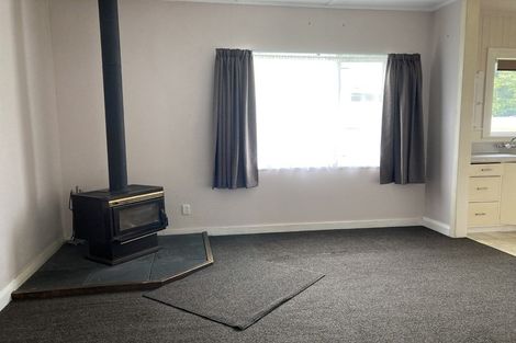 Photo of property in 161 Tiro Tiro Road, Levin, 5510