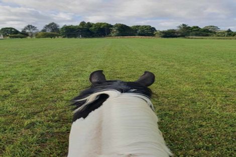 Photo of property in 242 Maraetai Rd - State Highway State Highway, Tokoroa, 3491