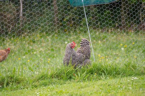 Photo of property in 22 Awatiro Drive, Kaukapakapa, 0871