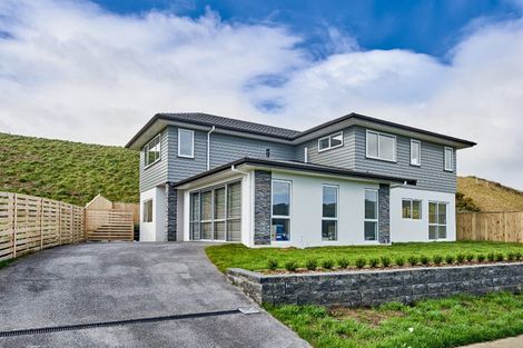 Photo of property in 113 Queen Charlotte Drive, Aotea, Porirua, 5024