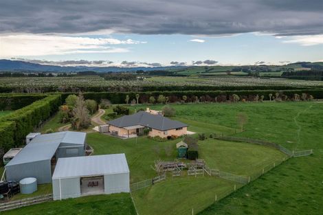 Photo of property in 219 Amberley Beach Road, Amberley, 7481