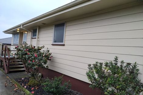 Photo of property in 19 Tomintoul Place, Highland Park, Auckland, 2010