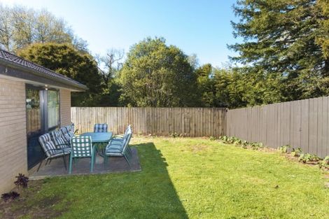 Photo of property in 9 Sapling Drive, Pukekohe, 2120
