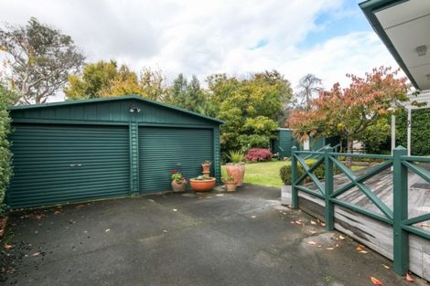 Photo of property in 41 Mchardy Street, Havelock North, 4130