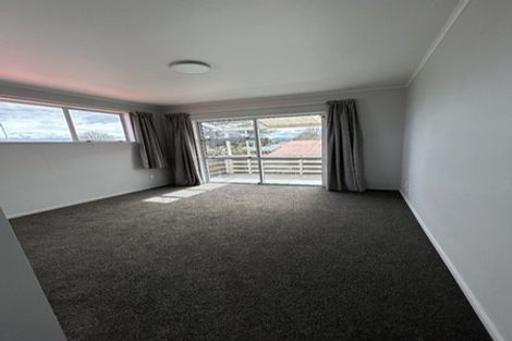 Photo of property in 51 Dillon Street, Blenheim, 7201