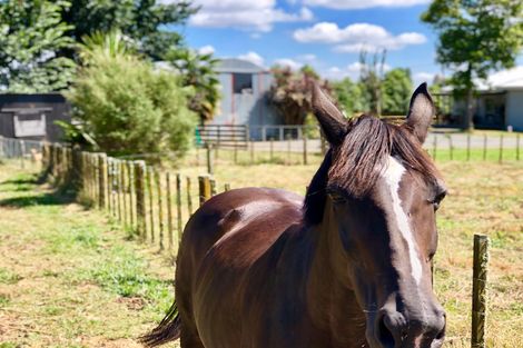 Photo of property in 62 Macky Road, Pirongia, Te Awamutu, 3876