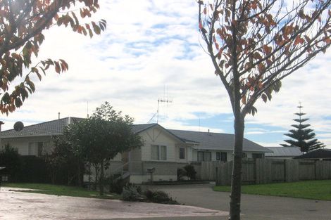 Photo of property in 38 Dalfield Place, Highbury, Palmerston North, 4412