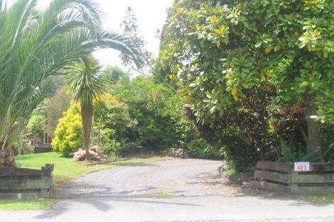 Photo of property in 403 Waitea Branch Road, Kakahi, 3989