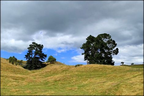 Photo of property in 333 Palmer Mill Road, Wairakei, Taupo, 3384