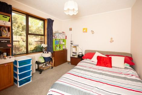 Photo of property in 219a Redwood Street, Witherlea, Blenheim, 7201