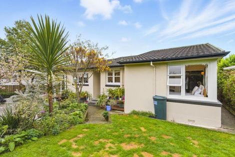 Photo of property in 79 Kawiu Road, Levin, 5510