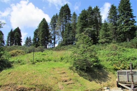 Photo of property in 348 State Highway 6, Coal Creek, Greymouth, 7802