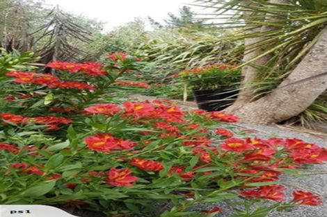 Photo of property in 801 Martinborough Masterton Road, Longbush, Masterton, 5884